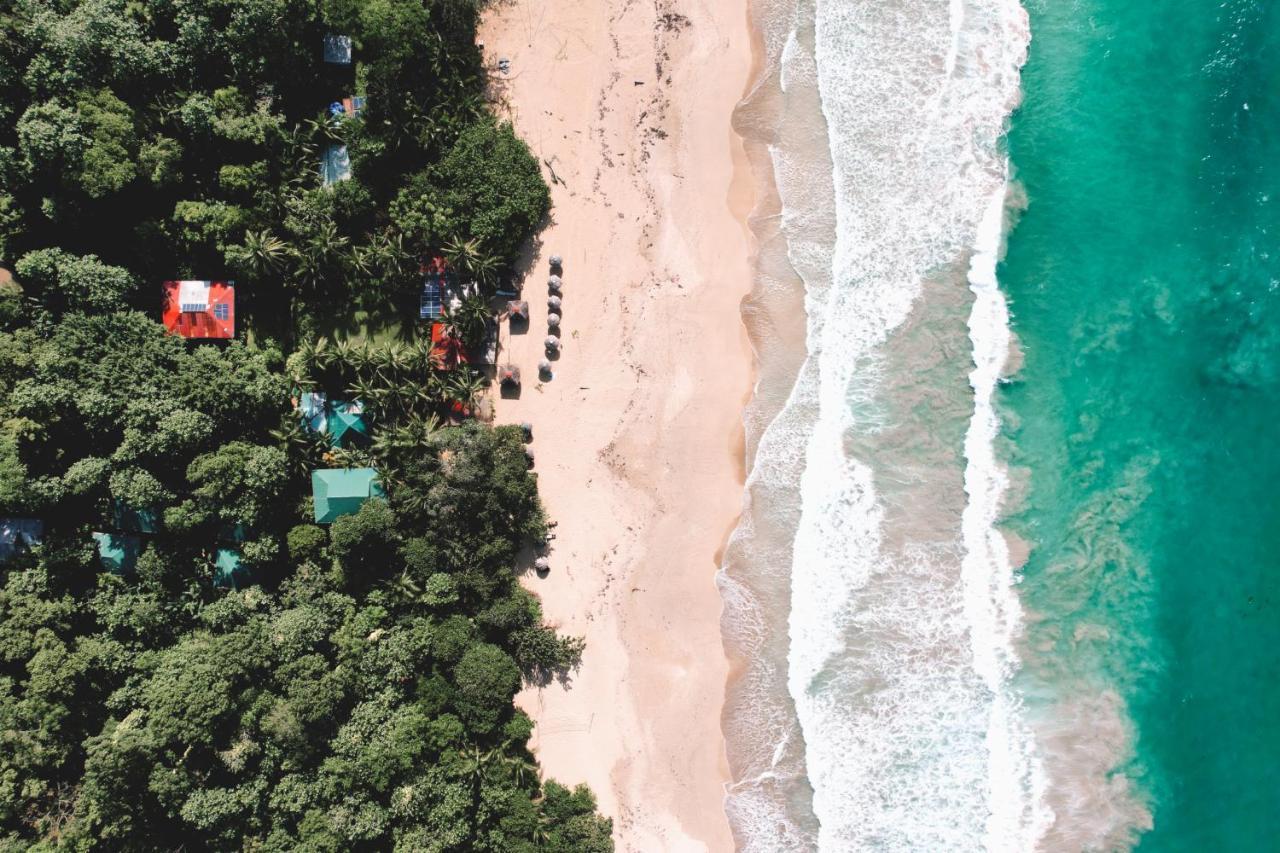 Palmar Beach Lodge Bocas Town Exterior foto